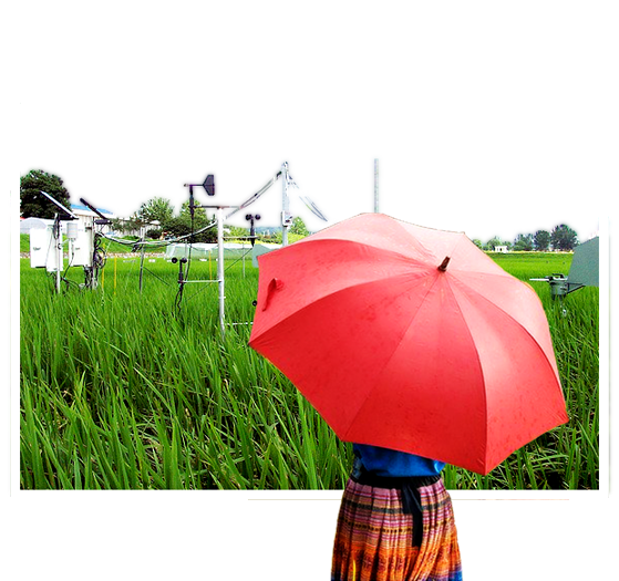 우산 쓴 여인 이미지